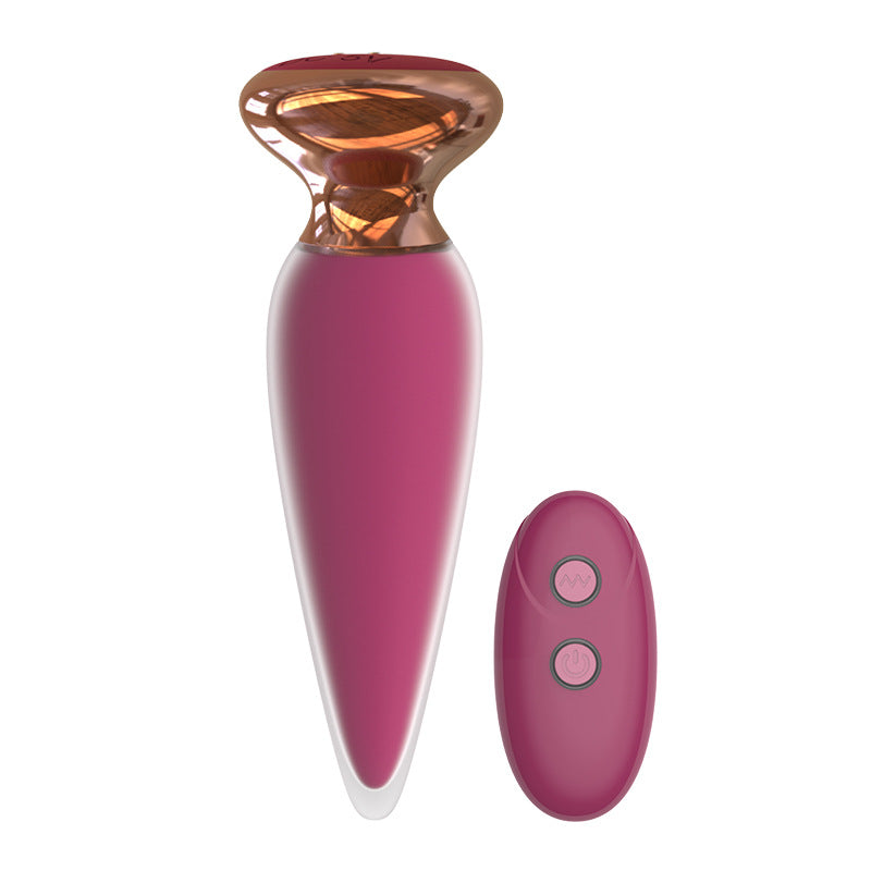 Wireless Remote Control Anal Plug - 10-Speed USB Rechargeable Vibrating Prostate Massager